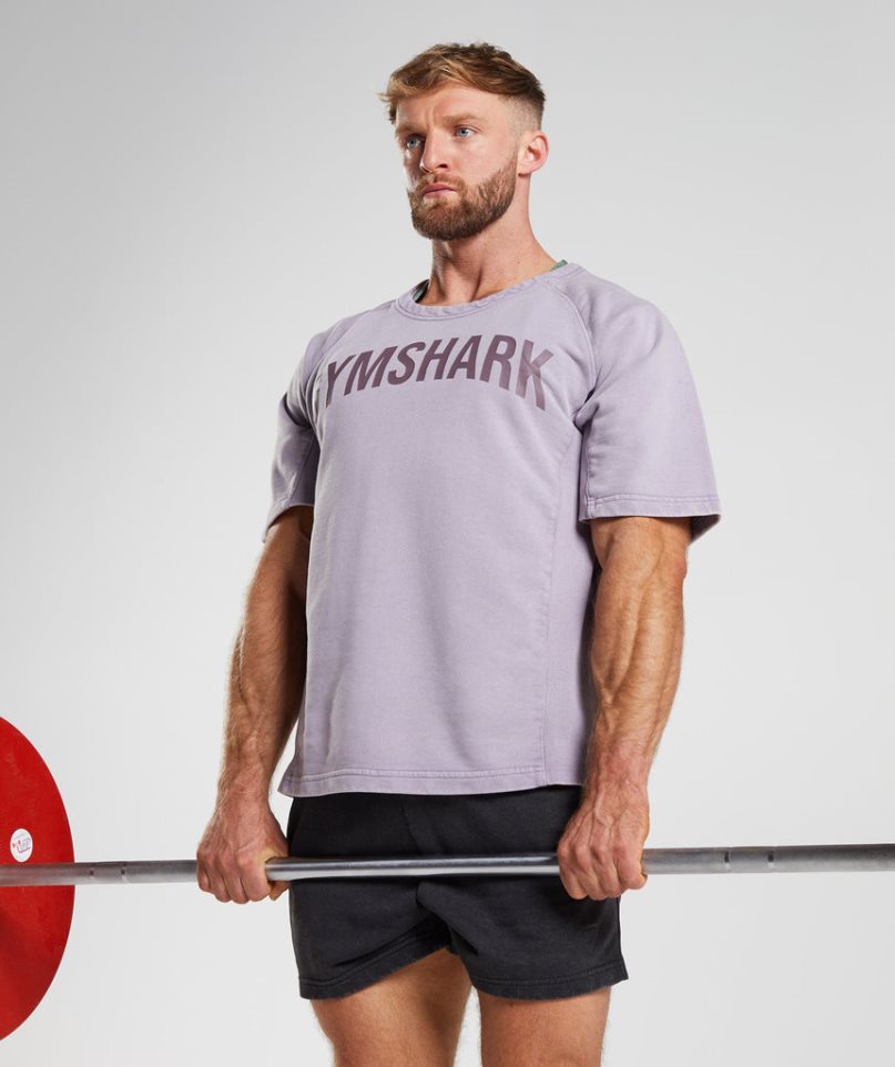 Koszulki Gymshark Power Washed Rag Top Męskie Fioletowe | PL 965TLR